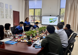 コラボレーション1